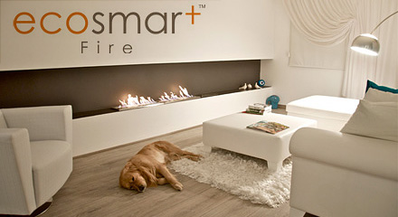 eco smart fire